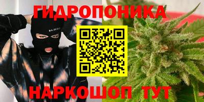 стаф Тара