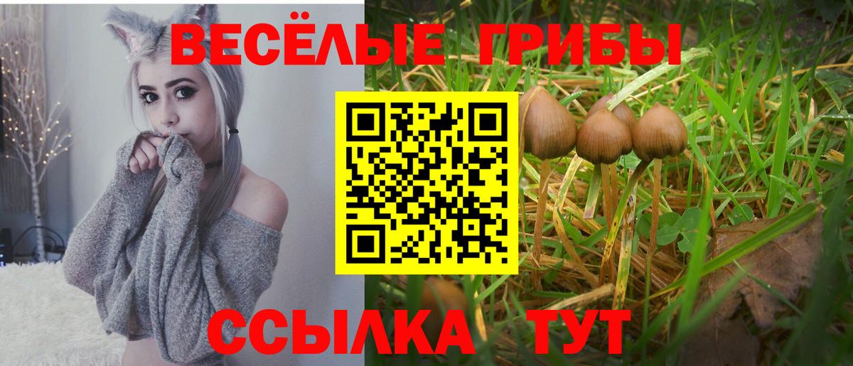 магазин продажи наркотиков  Вход с VPN  Галлюциногенные грибы MAGIC MUSHROOMS  Муравленко  Галлюциногенные грибы ЛСД 